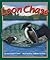 Loon Chase (Arbordale Collection)