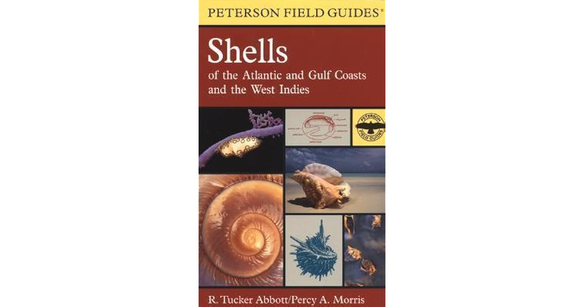 A Field Guide to Shells Atlantic and Gulf Coasts and the West Indies
