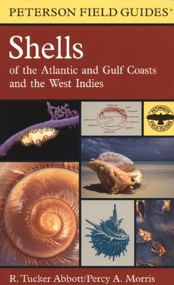 Shells of the Atlantic and Gulf Coasts and the West Indies (Paperback)