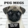 Pug Mugs: Good Pugs Gone Bad
