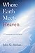 Where Earth Meets Heaven: A Commentary on Revelation