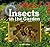 Insects in the Garden (Creatures All Around Us)
