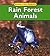 Rain Forest Animals (Animals in Their Habitats)