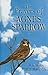 The Prayers of Agnes Sparrow (Thorndike Press Large Print Christian Fiction)