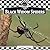 Black Widow Spiders