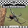 Black Widow Spiders