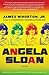 Angela Sloan: A Novel