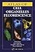 Atlas of Cell Organelles Fluorescence by Elli Kohen