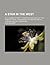 A Star in the West; Or, a Humble Attempt to Discover the Long... by Elias Boudinot