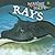 Rays (Marine Life)