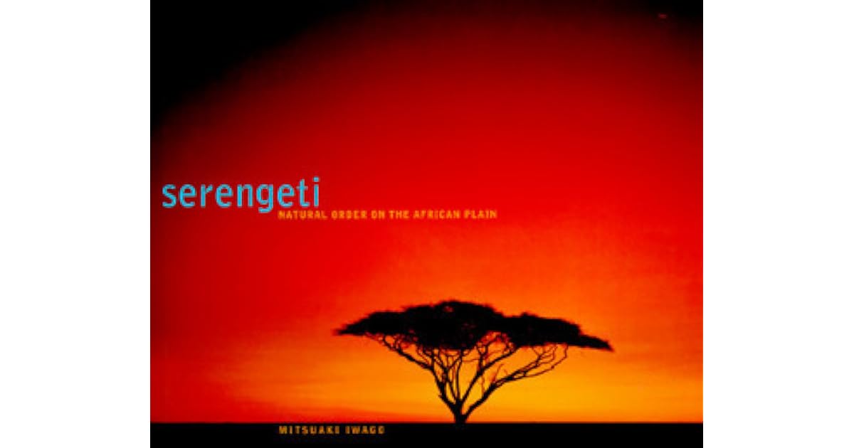 Обои серенгети. As dawn breaks over the vast serengeti. Кения природа. Марио морено фотограф. Танзания four seasons.