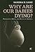 Why Are Our Babies Dying? by Sandra Lane