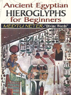 Ancient Egyptian Hieroglyphs for Beginners: Medtu Neter- "Divine Words" (Paperback)