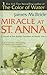 Miracle at St. Anna by James   McBride