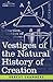 Vestiges of the Natural History of Creation by Robert Chambers