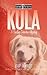 Kula (Surfing Detective Mystery, #3) by Chip Hughes