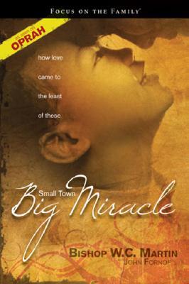 Small Town, Big Miracle: How Love Came to the Least of These (Paperback)