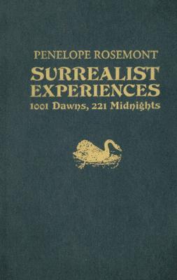 Surrealist Experiences (Paperback)