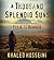 A Thousand Splendid Suns by Khaled Hosseini
