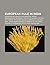 European Rule in India: European Influence in Afghanistan, Indian Independence Movement, History of Mumbai, History of Chennai, Adi Dharm