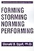 Forming Storming Norming Performing: Successful Communication in Groups And Teams