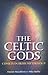 The Celtic Gods Comets in Irish Mythology by Patrick McCafferty
