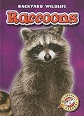 Raccoons