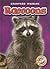 Raccoons