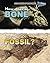 How Does a Bone Become a Fossil? (How Does it Happen?)
