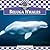 Beluga Whales (Whales Set 1)