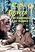 C.S. Lewis: The Chronicler ...