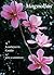 Magnolias: A Gardener's Guide