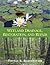 Wetland Drainage, Restoration, and Repair