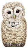 Little Owl (Look at Me Books)