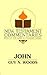 New Testament Commentary on John (New Testament Commentaries (Gospel Advocate))