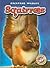Squirrels (Blastoff! Reader...