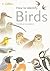 How to Identify Birds by Nicholas Hammond