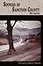 Sinners of Sanction County (Appalachian Writing)