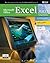 Microsoft Office Excel 2003: A Professional Approach, Comprehensive Student Edition w/ CD-ROM
