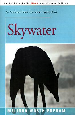 Skywater (Paperback)