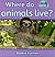 Where Do Animals Live? (My World, Level H)