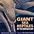 Giant Sea Reptiles of the D...