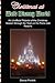 Christmas at Walt Disney World: An Unofficial Pictorial of the Christmas Season Through the Years at the Parks and Resorts