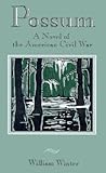 Possum: A Novel of the American Civil War