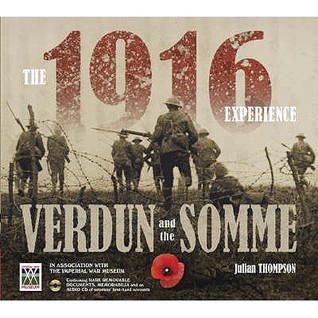 The 1916 Experience: Verdun and the Somme (Hardcover)