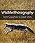 Wildlife Photography: From ...