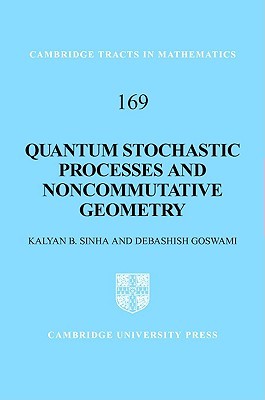 Quantum Stochastic Processes and Noncommutative Geometry (Cambridge Tracts in Mathematics, Series Number 169)