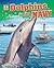 Dolphins in the Navy