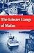 The Lobster Gangs of Maine by James M. Acheson