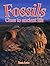Fossils: Clues to Ancient Life (Rocks, Minerals, and Resources)